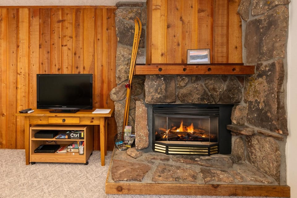 TV and multimedia, fireplace, furniture