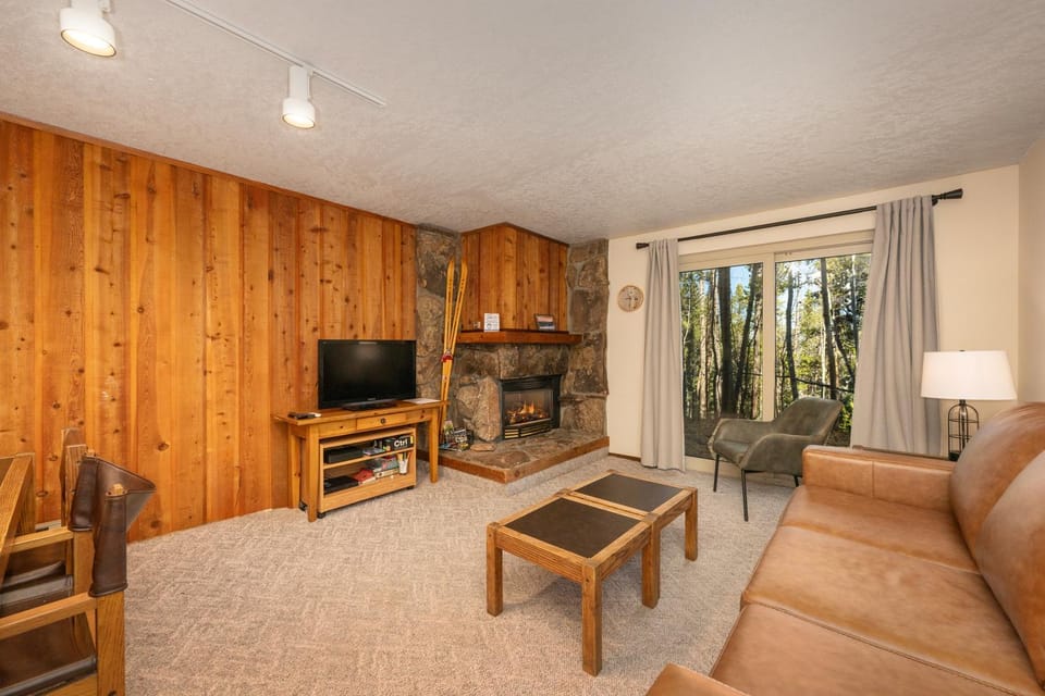 Natural landscape, TV and multimedia, View (from property/room), Living room, fireplace, furniture