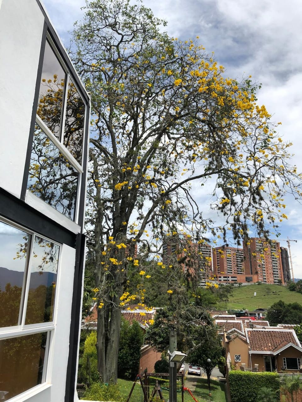 Property building, Day, Garden view