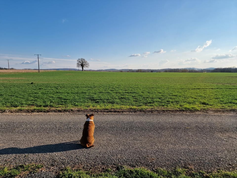 Natural landscape