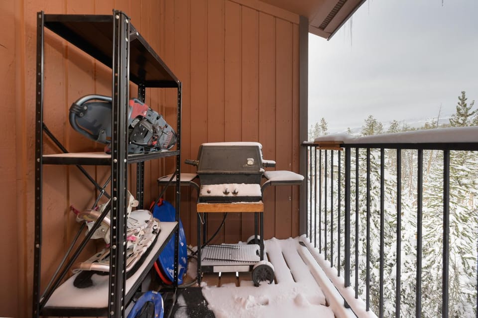 Natural landscape, Winter, BBQ facilities, Balcony/Terrace