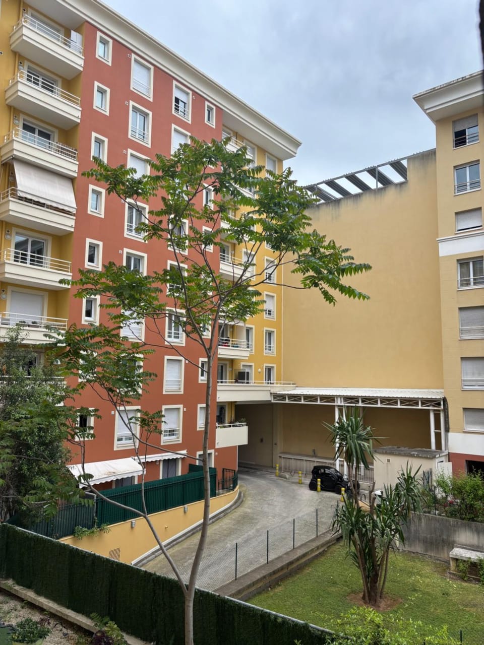 Garden view