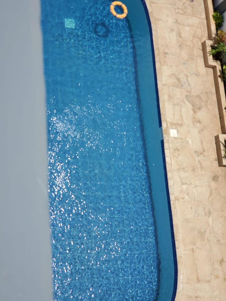 Day, Pool view, Swimming pool, Swimming pool, sunbed