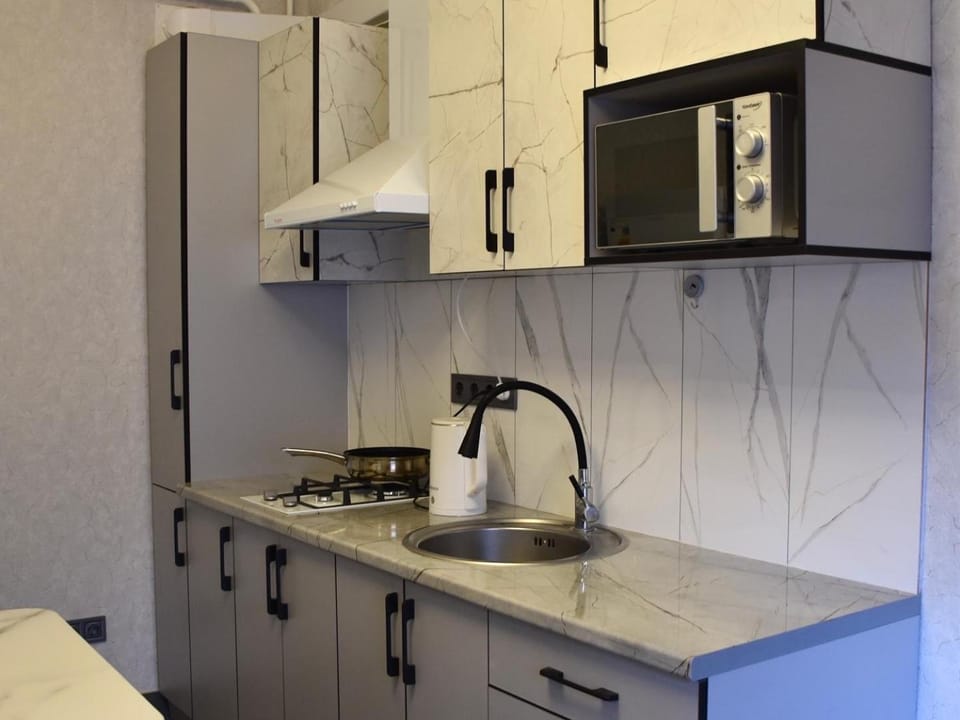 Coffee/tea facilities, Kitchen or kitchenette, minibar, stove