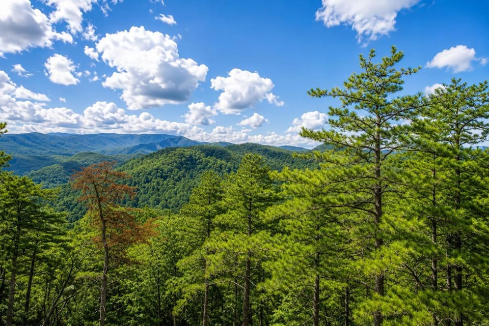 Altitude Adjustment, free tickets, no catch! Chalet in Pigeon Forge