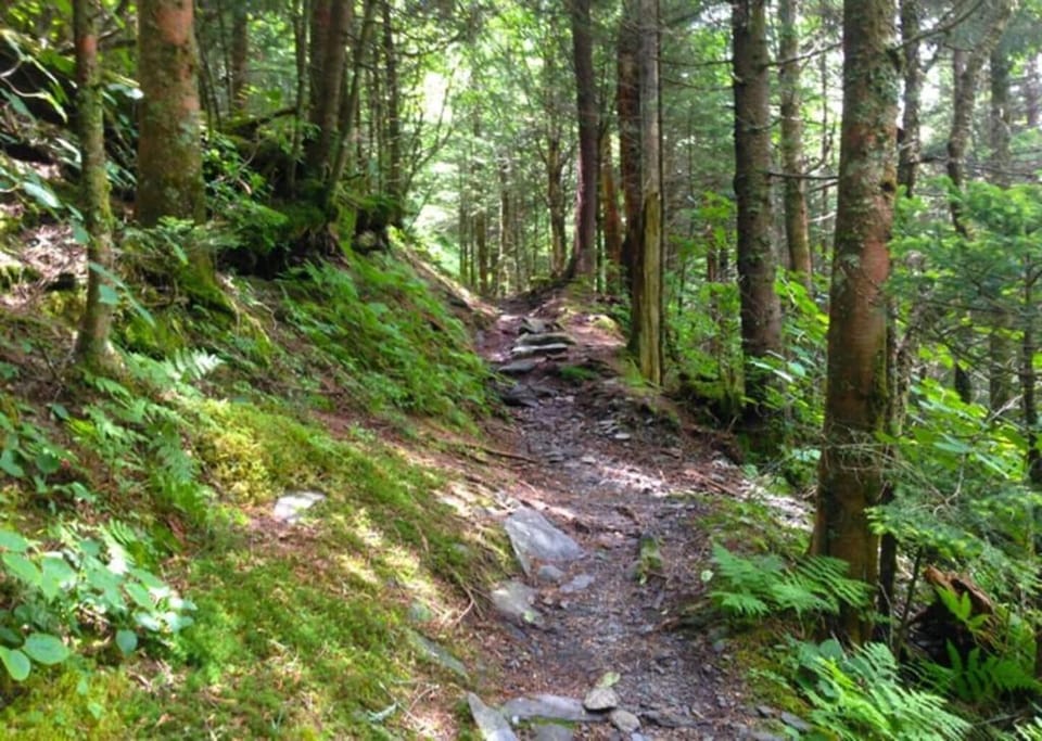 Misty Mountain Stop by Avada Properties House in Sevierville