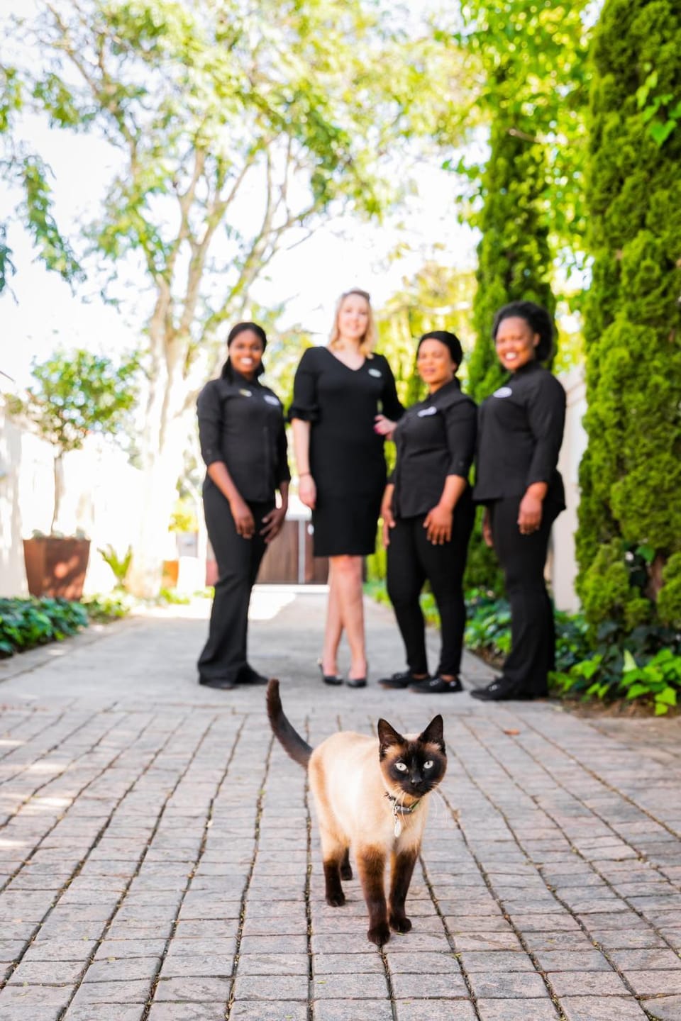 Staff, Pets