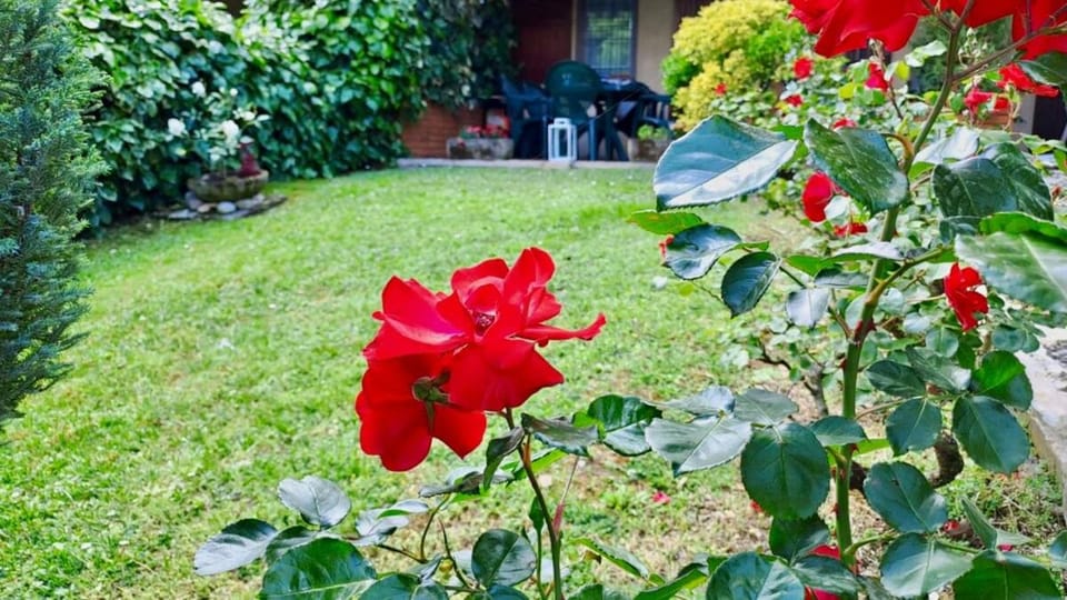 L'Alba al Cascinale - by tourquoisevea House in Province of Brescia