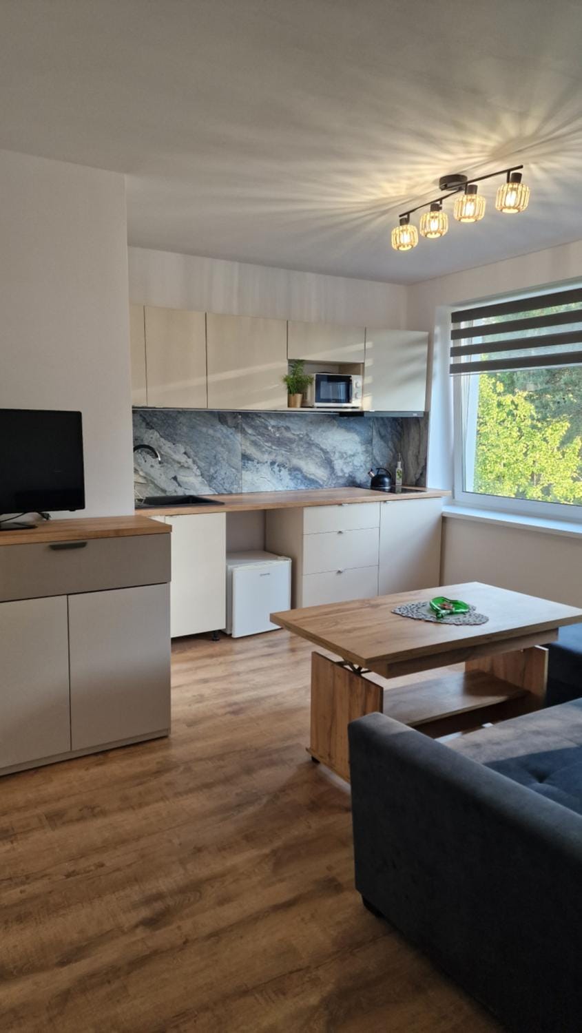 TV and multimedia, Kitchen or kitchenette, Living room, Seating area, Dining area, pet friendly, stove