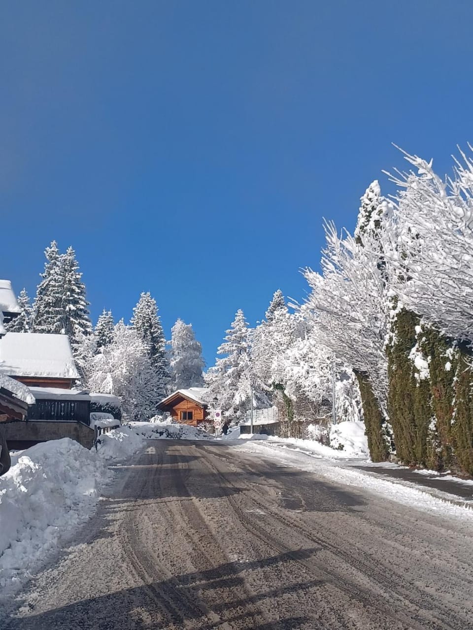 Natural landscape, Winter