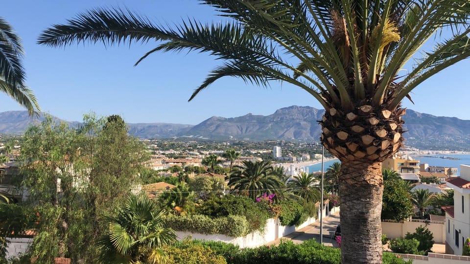 View (from property/room)