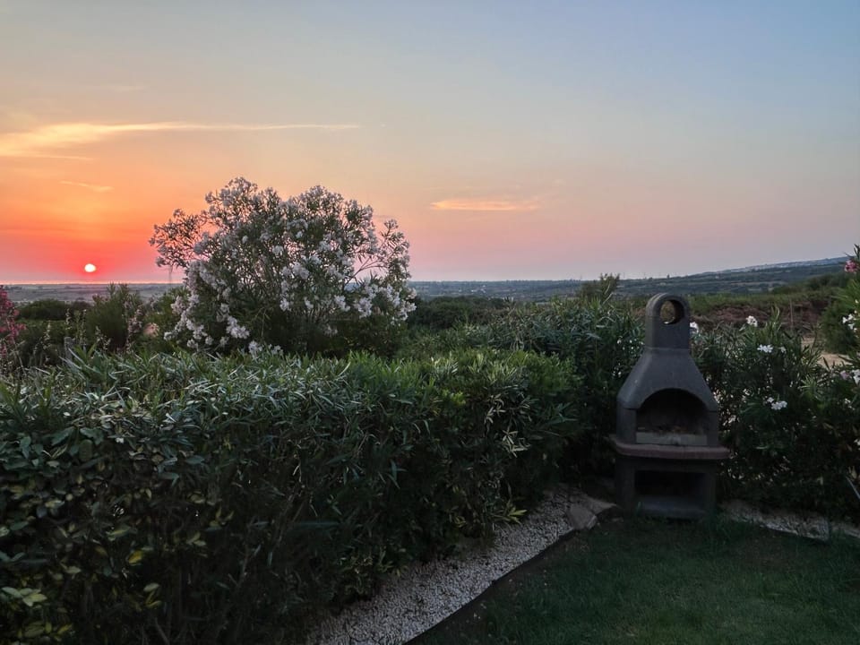 Natural landscape, Garden, Garden view, Sunset