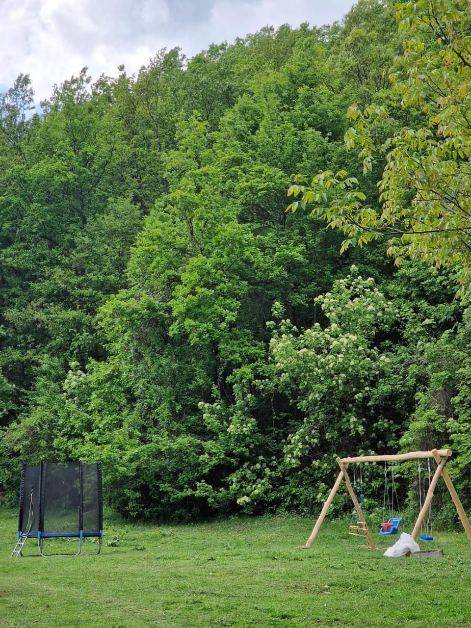 Domaćinstvo Ristović House in Serbia