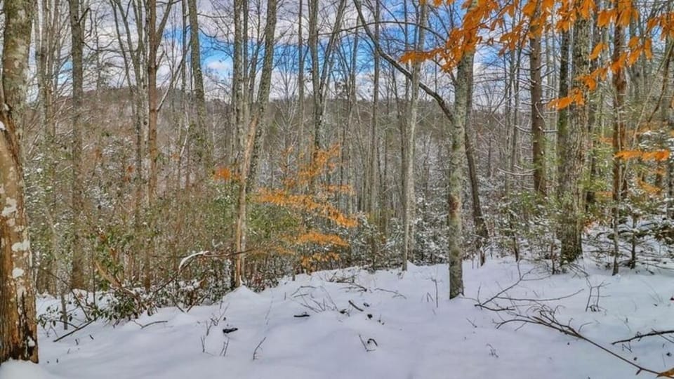 Cant Bear to Leave by Avada Properties House in Sevier County