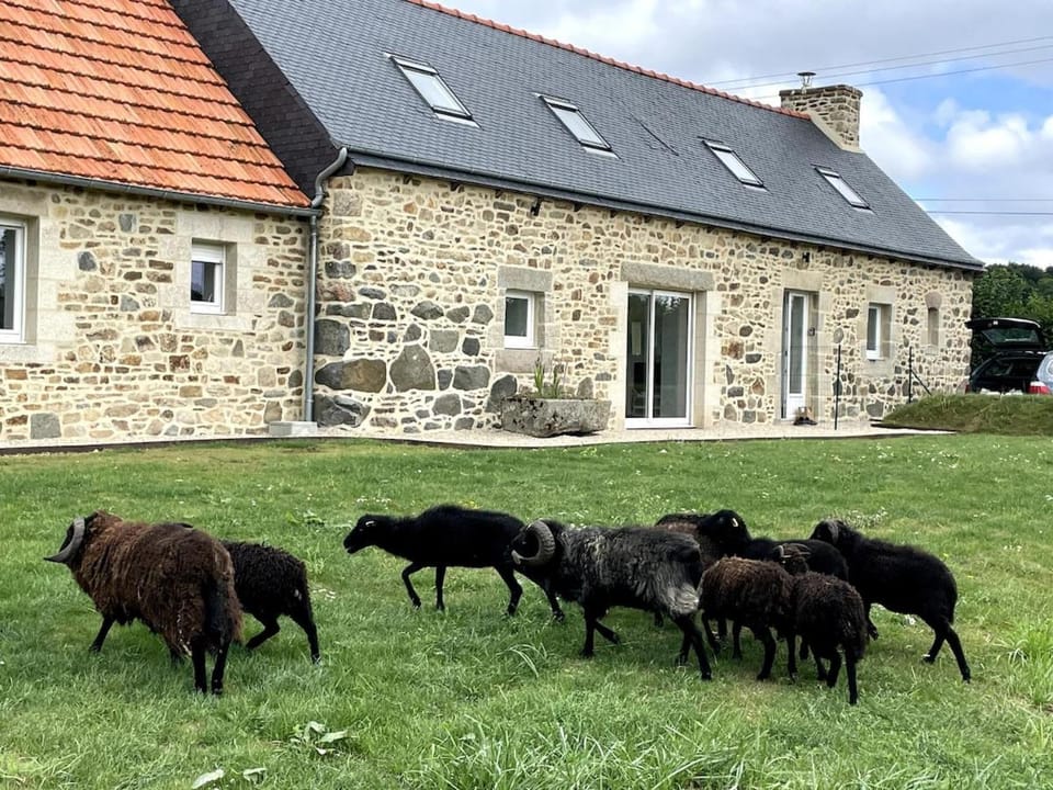 Day, Animals