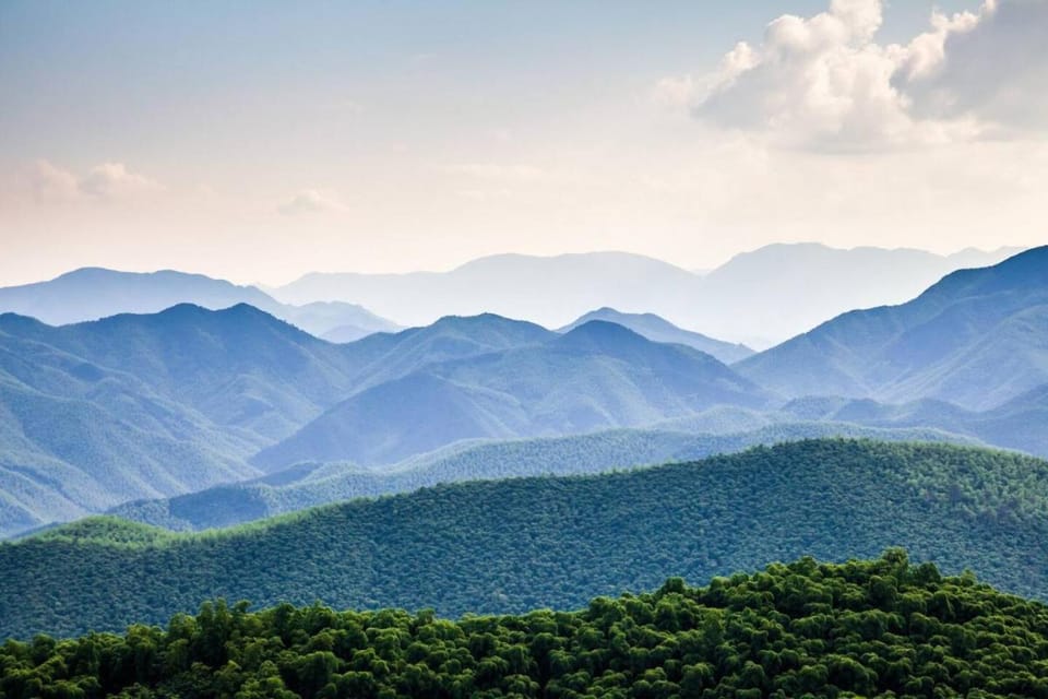 Bears in the Mist by Avada Properties House in Sevier County