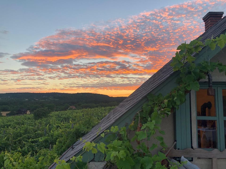 Property building, Garden, Mountain view, Sunset