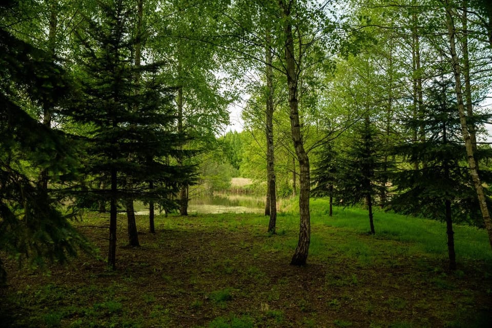 Natural landscape, Garden, Garden view