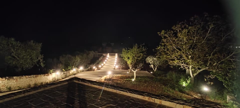 Facade/entrance, Night, Garden