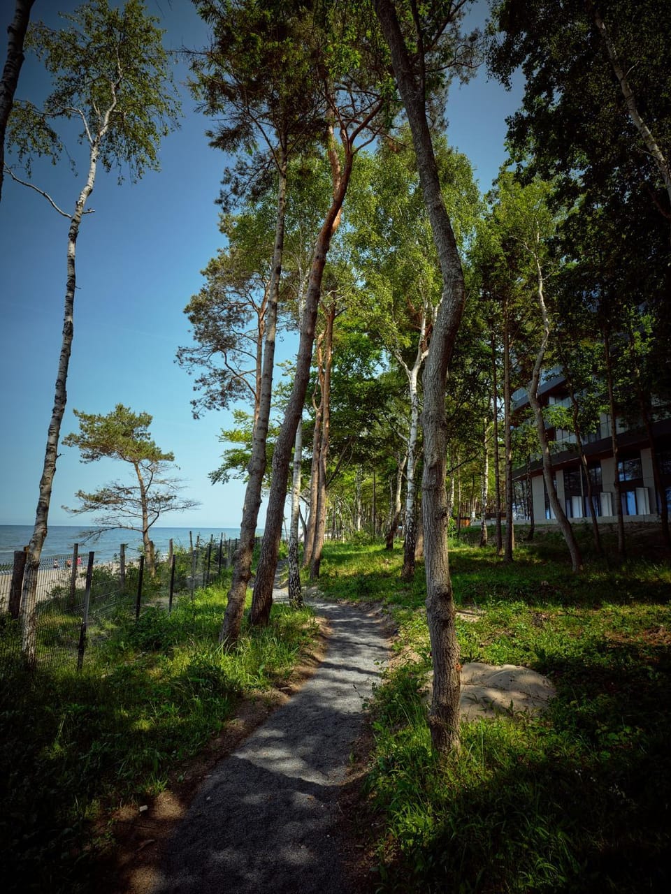 Natural landscape, Sea view