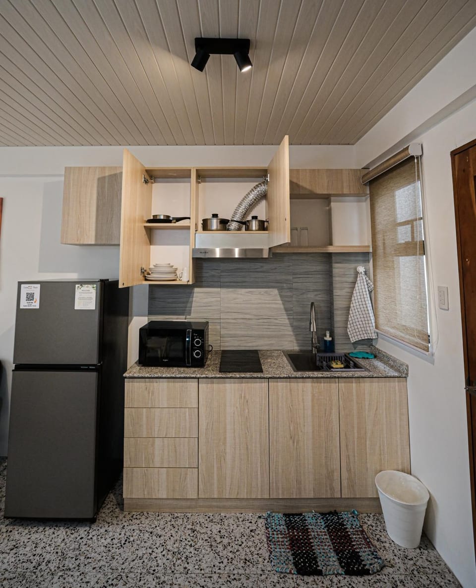 Kitchen or kitchenette, microwave, stove