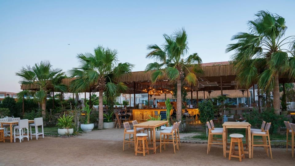 Restaurant/places to eat, Spring, Day, Garden, Banquet/Function facilities, Garden view