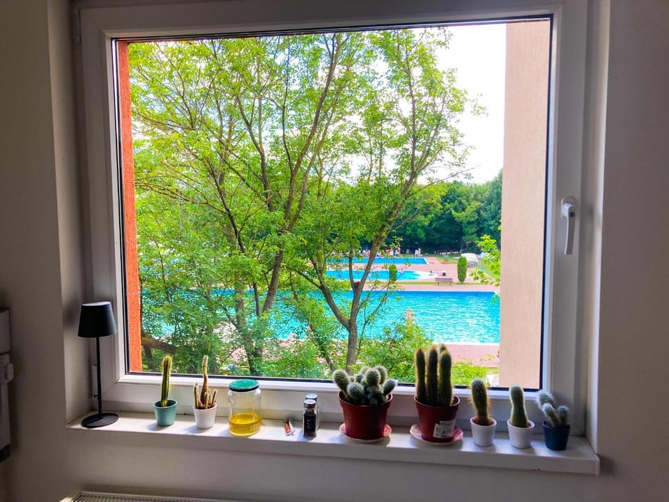 Pool view, Swimming pool