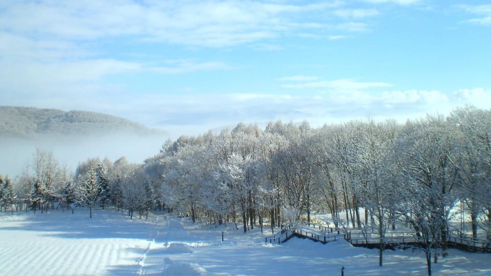 Winter, Mountain view