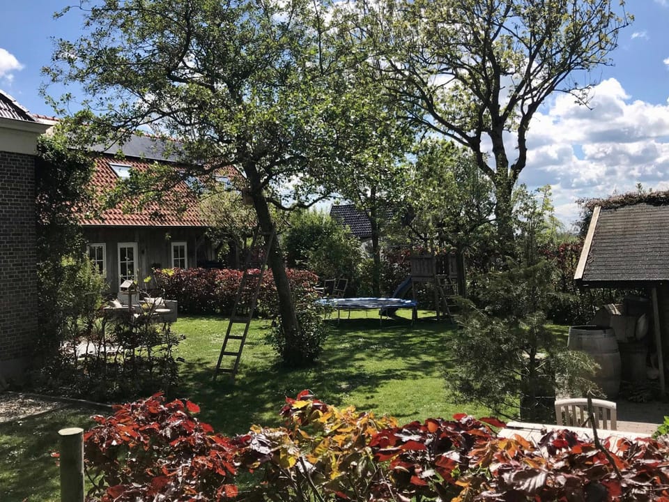 Garden, Balcony/Terrace, Pets, Garden view