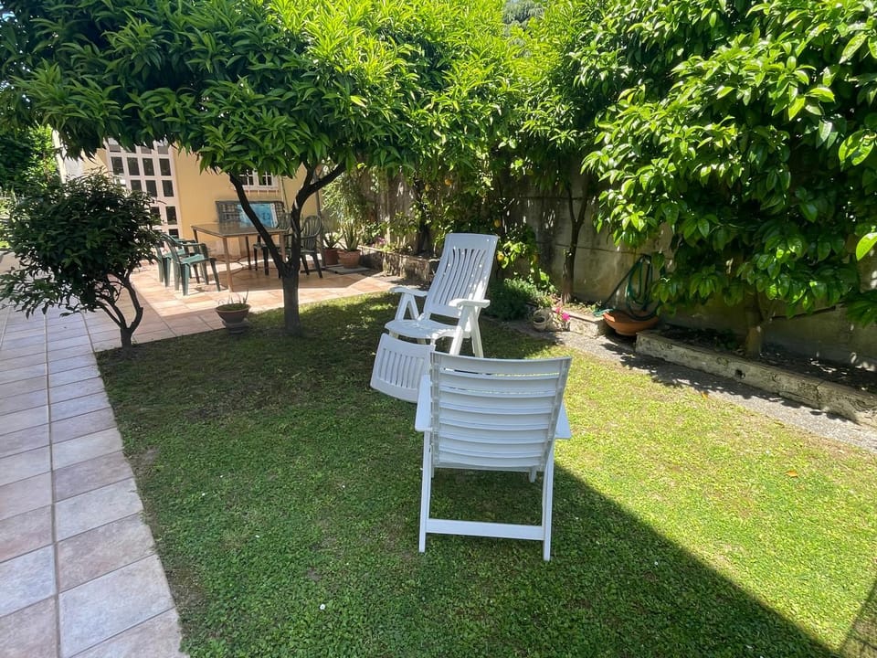 Natural landscape, Garden, Garden view