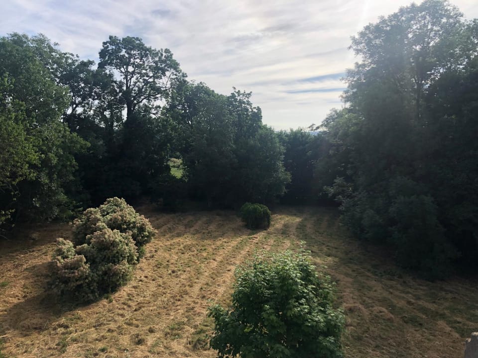 Natural landscape, Garden view