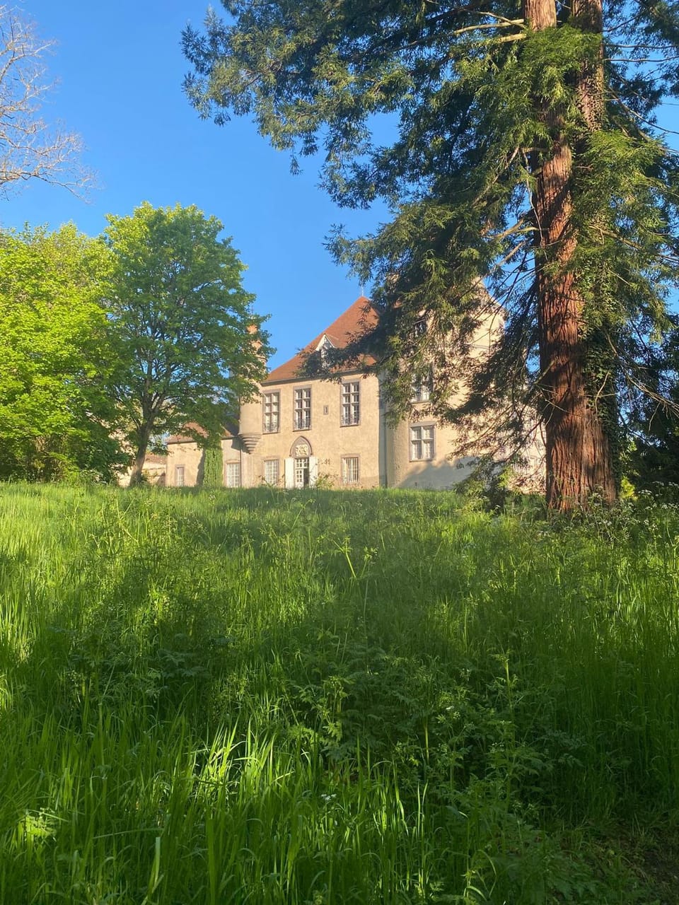 Property building, Natural landscape, Garden