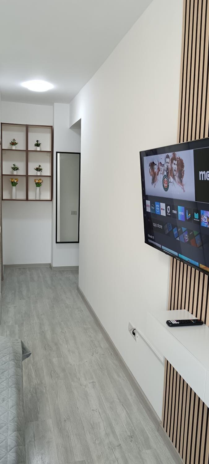 TV and multimedia