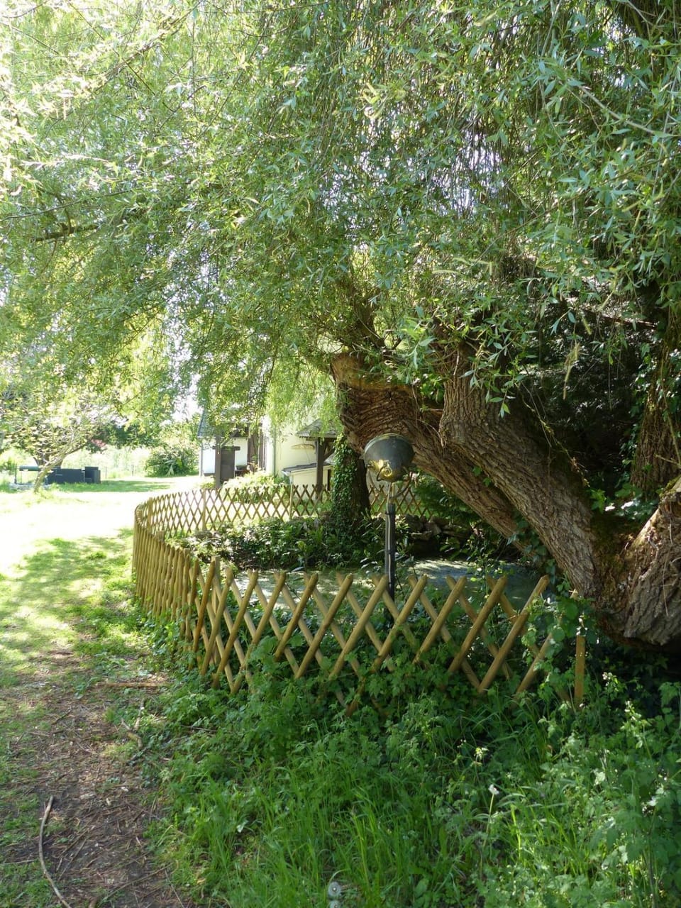 Natural landscape, Garden, Garden view