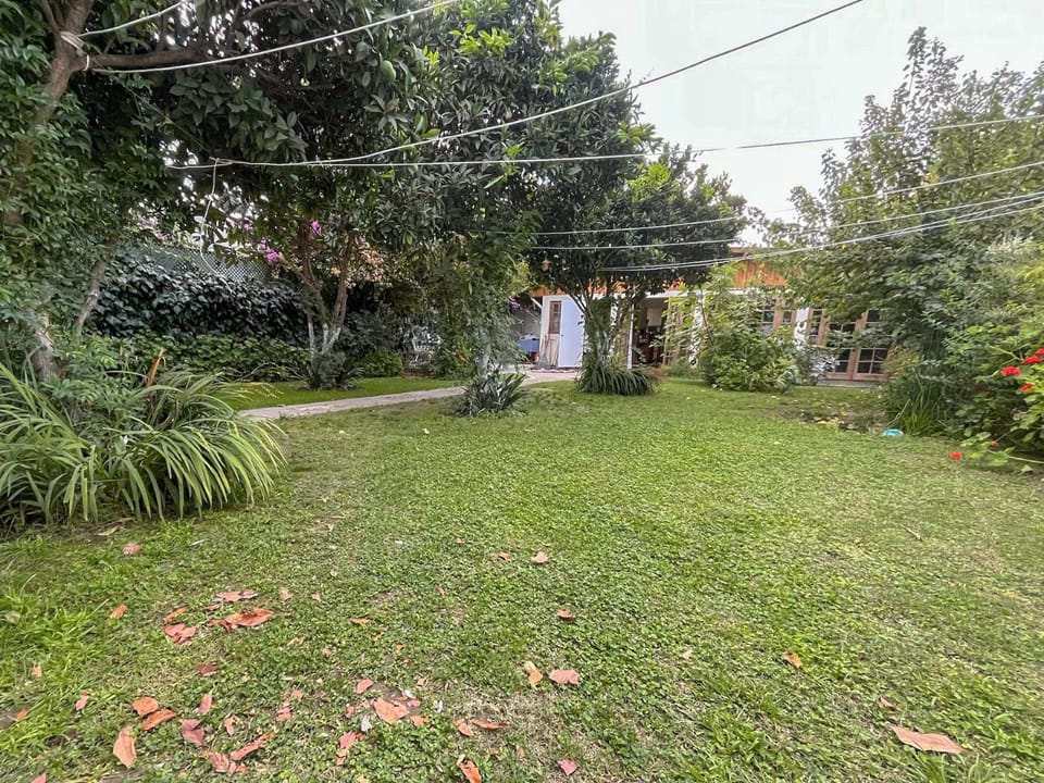 Garden, Garden, Garden view