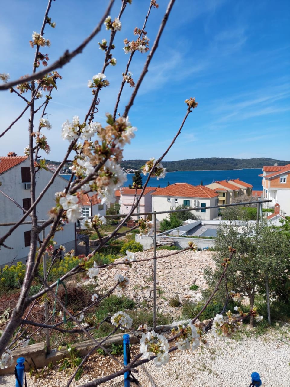 Sea view
