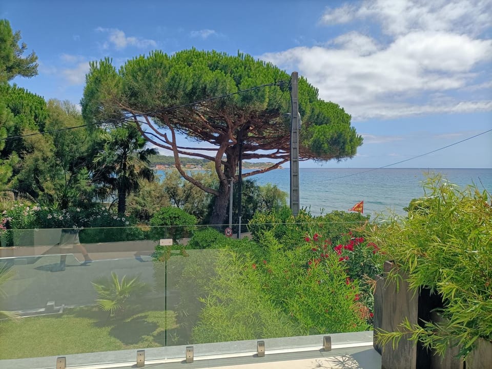 Sea view