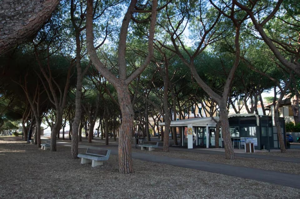 New Exclusive Apartment in Ceriale with sea view Apartment in Ceriale