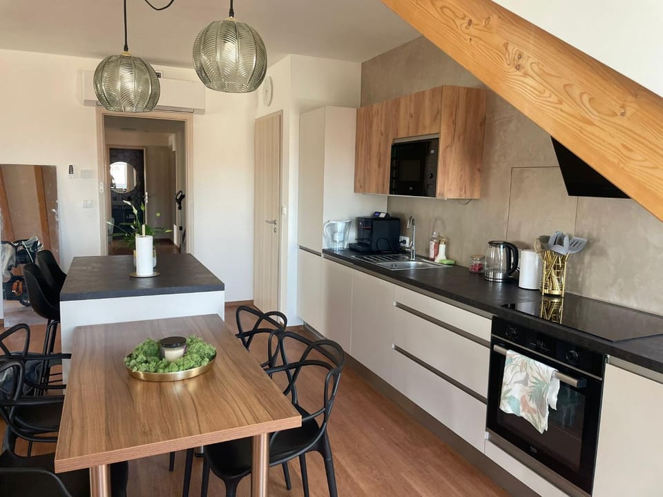 NOSTALGIE BOUTIQUE Suite Apartment in Brno