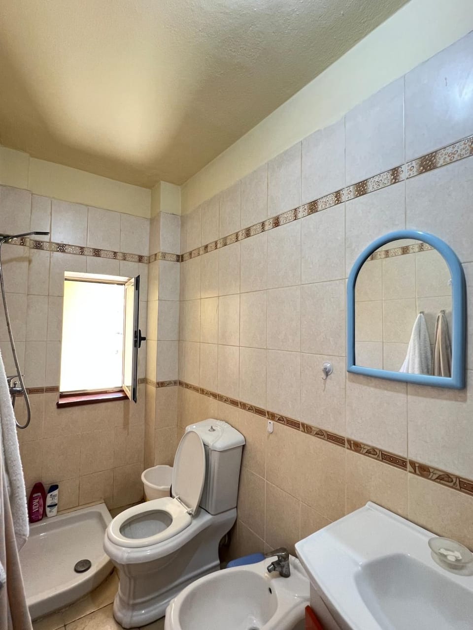 Shower, Toilet, Bathroom, bidet, towels