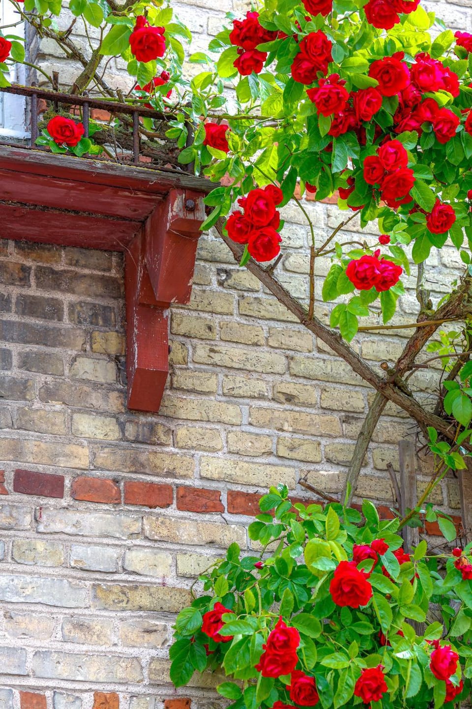 Property building, Day