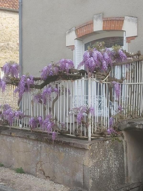 La glycine House in Bourgogne-Franche-Comté