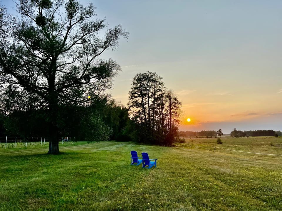 Natural landscape, Garden, Sunset