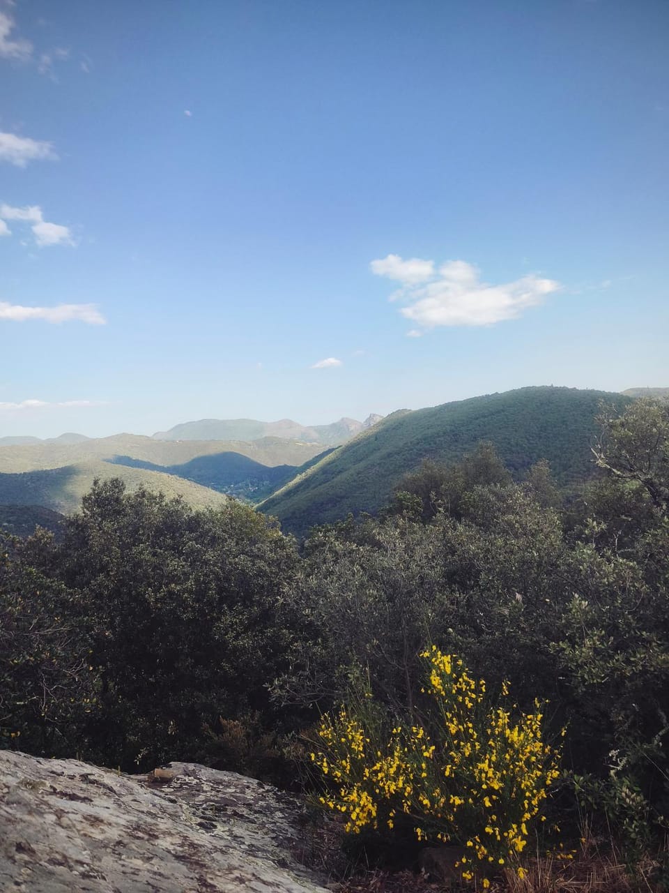 Sur la Draille Bed and Breakfast in Occitanie