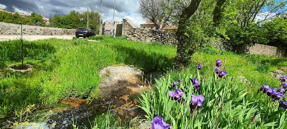 Natural landscape