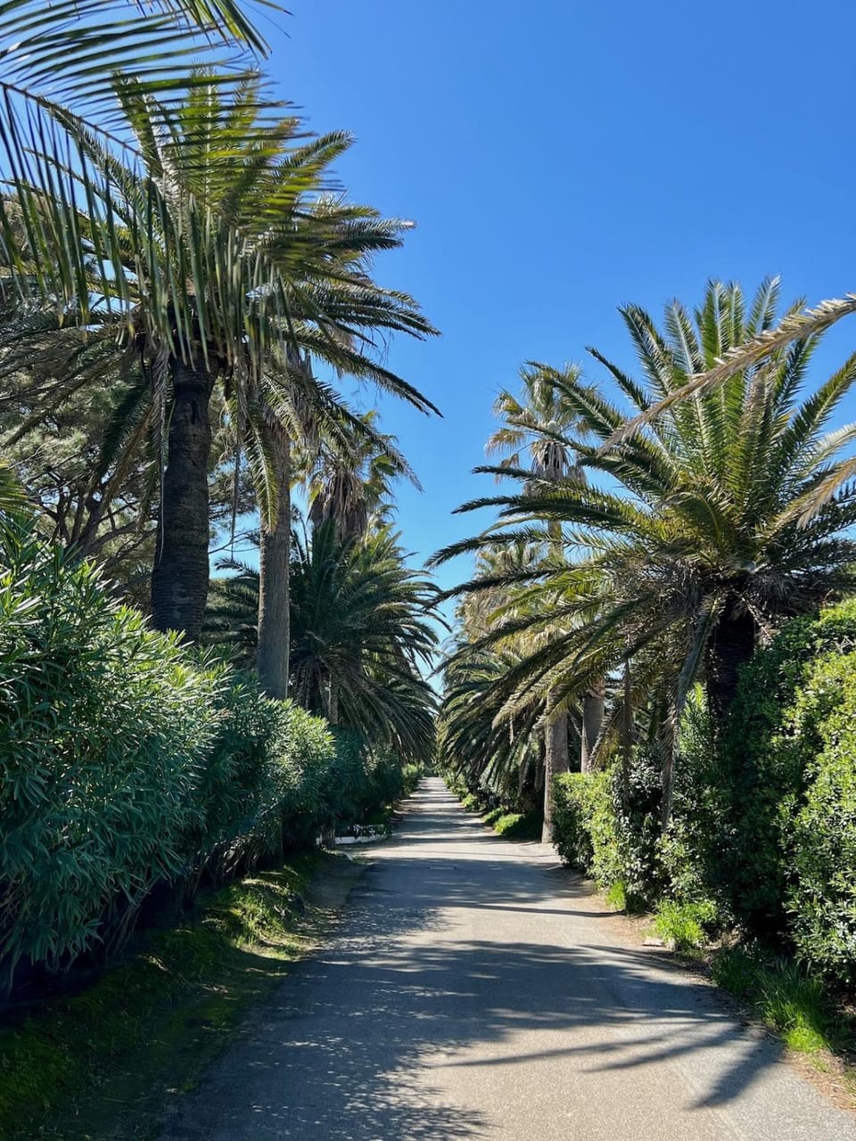 Villa - Parc de la Moutte - Saint-Tropez House in Saint-Tropez