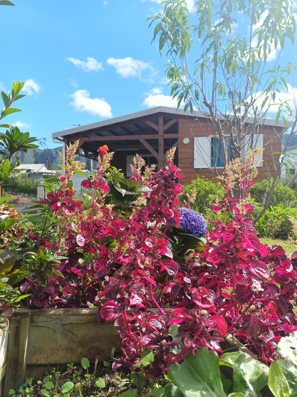 Le chal'heureux Chalet in Réunion