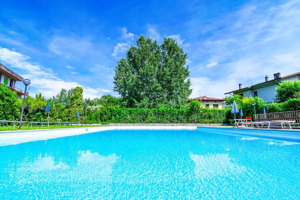 Spring, Day, Natural landscape, Garden, Garden view, Pool view, Swimming pool, Swimming pool, sunbed