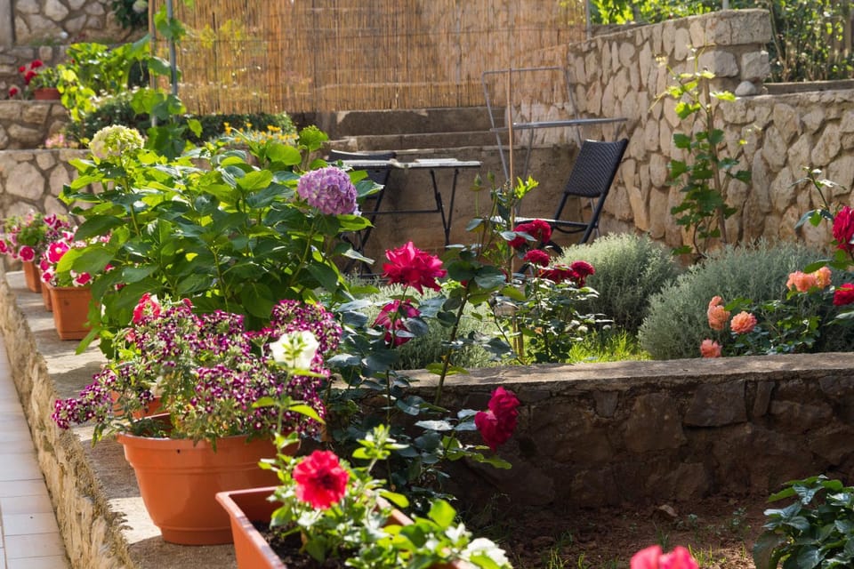 Garden, Balcony/Terrace