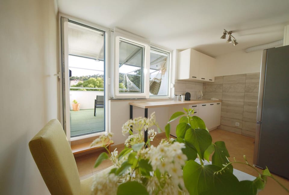 Summer, Balcony/Terrace, Kitchen or kitchenette, dishwasher